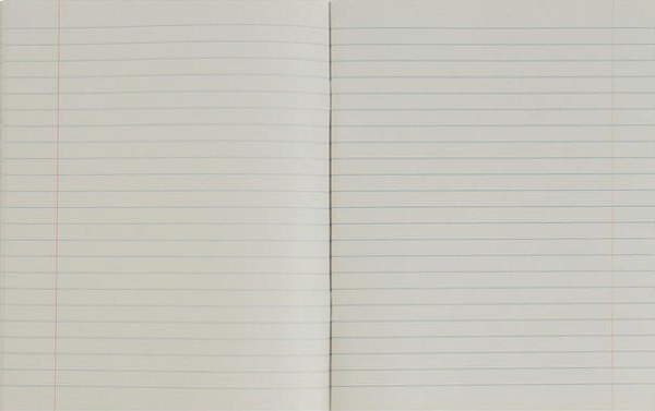 Тетрадь 12 листов в линейку «Зелёная обложка», бумажная обложка, серые листы, блок №2, белизна 65%