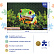 Пазлы 500 эл. А2 480х330мм LEGEND Macro "Царевна-Лягушка"  в подарочн. коробочке + Постер"Premium"