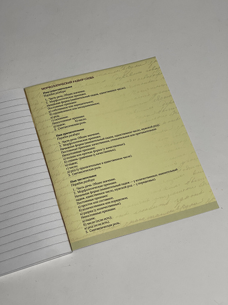 Тетрадь предметная 48 листов  "Фразочки"  Русский язык, со справочным материалом, обложка мелованный картон, блок офсет