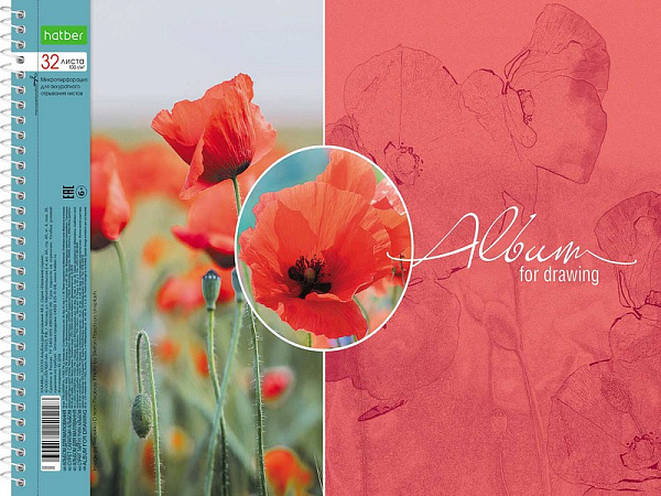 Альбом для рисования 32 листа на спирали "Красота цветения" 5 диз.в блоке