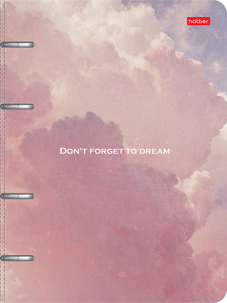 Тетрадь на кольцах 80 л. "Dream" А5ф на 4-х кольцах Слим-картон с высечкой под кольца мат ламин,тиснение в индив.упак.