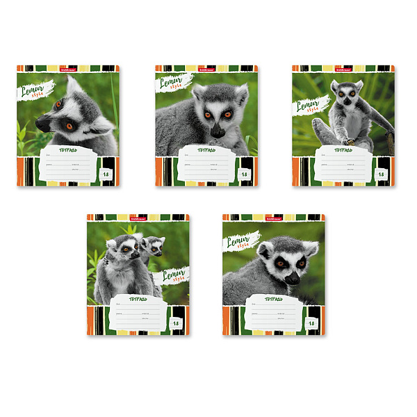 Тетрадь 18 л. лин. "Lemur Style",  ErichKrause  