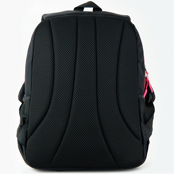 Рюкзак GoPack Education 113-3 Bright day