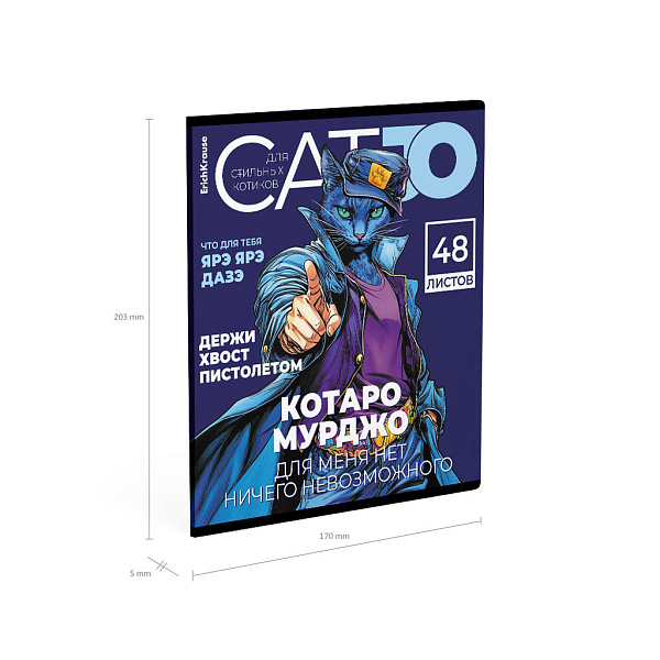 Тетрадь 48 листов в клетку "CatJo", глянцевая ламинация_MIX-PACK ErichKrause