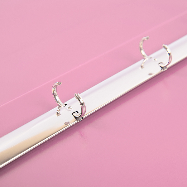 Папка 4 кольца 25 мм А4 "Expert Complete"   Trend ICEberries 700 мкм d - 17 мм клубника