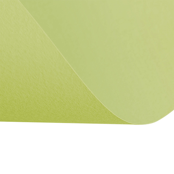 Бумага для пастели 500*650 "Tiziano" Салатовый тёплый ,160г/м.кв ЦЕНА ЗА 1ЛИСТ (10л)