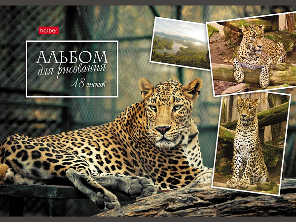 Альбом для рисования 48 листов "Ассорти"