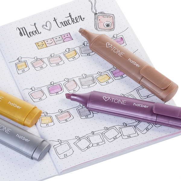 Маркер-текстовыделитель Hatber V-tone Metallic  ассорти  1мм/5мм 12шт. в к/к