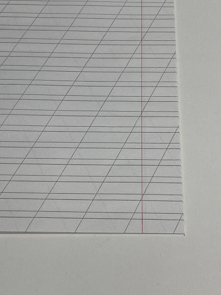 Тетрадь 12 листов в косую линию ЗЕЛЁНАЯ, обложка из мелованного картона (200г/м2), блок офсет (92%, 60г/м2)