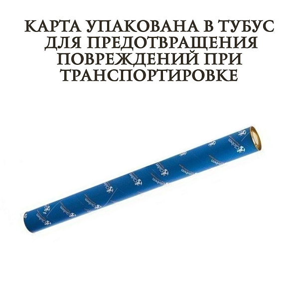 Карта Мира Интерактивная для детей "Животный и растительный мир Земли" 101х69 см (с ламинацией в тубусе)