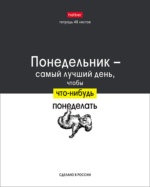 Тетрадь 48 л. кл. "Люблю школу" 65г/кв.м 10 дизайнов в коробе 