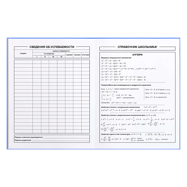 Дневник 1-11 кл. 48 л. интеграл.переплет "ЛУЧШИЕ ДРУЗЬЯ" тиснение голографической фольгой, глянцевая ламинация, печать в одну краску