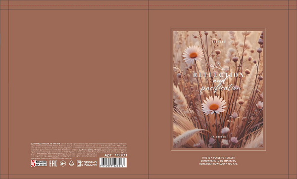 Тетрадь 48 листов, клетка, обложка мелованный картон, блок офсет, 5 видов микс