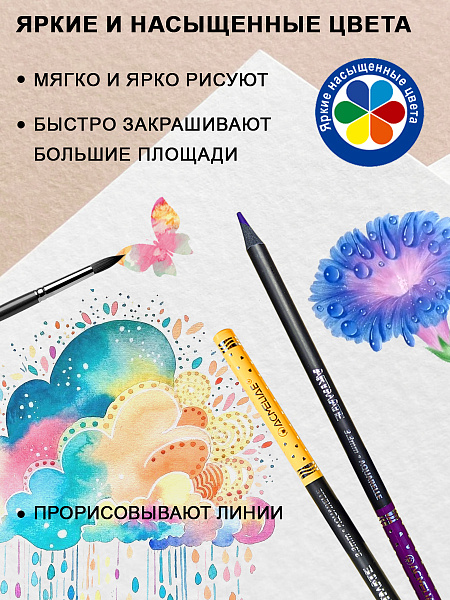 Карандаши 24 цв. акварельные ACMELIAE Blackwood +кисточка, металл футляр