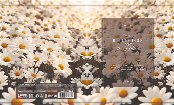 Тетрадь 48 листов, клетка, обложка мелованный картон, блок офсет, 5 видов микс