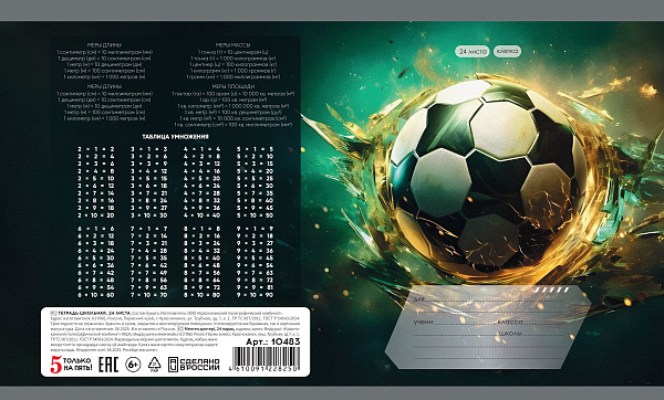 Тетрадь 24 листа в клетку "Футбол" обложка из мелованной бумаги(115 г/м²) блок офсет 60 г/м², 92%, микс 5 вид