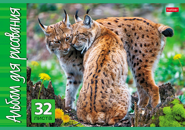 Альбом для рисования 32 листа "Ассорти"- Выпуск №2