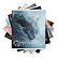Тетрадь 48 листов в клетку "Cloudy Cats", матовая ламинация  ErichKrause  _MIX-PACK