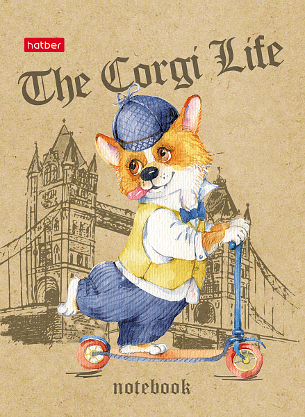 Блокнот А6 48 л. кл. "Ассорти" 16 дизайнов Обл. мел.бумага ламинация