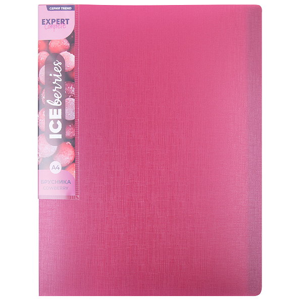 Папка 60ф А4 "Expert Complete"   Trend ICEberries 700 мкм  25 мм  1 шт. брусника