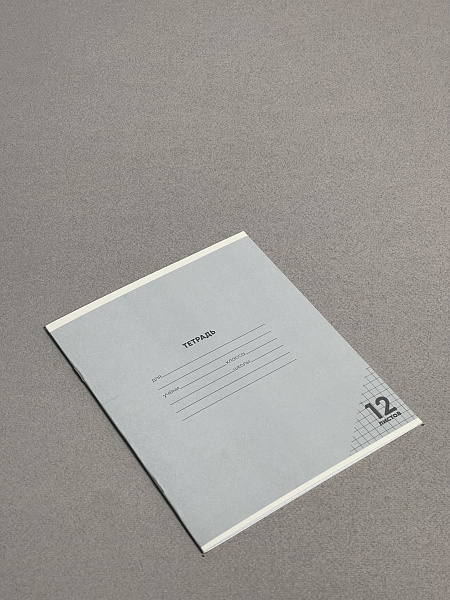 Тетрадь 12 листов в клетку СЕРАЯ, обложка из мелованного картона (200г/м2), блок офсет (92%, 60г/м2)