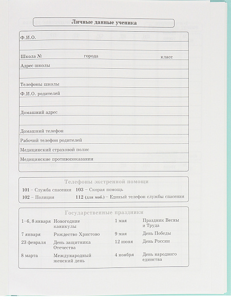 Дневник 1-4 кл. 48 л. тв.переплет "ТЁПЛЫЕ ОБЪЯТИЯ" выб.лак