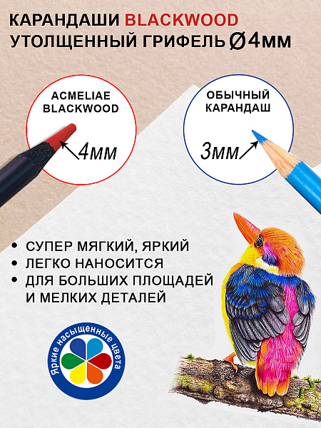 Карандаши 48 цв. ACMELIAE Blackwood Artmate в металлическом футляре