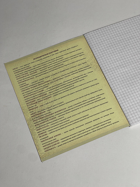 Тетрадь предметная 48 листов  "Фразочки"  География, со справочным материалом, обложка мелованный картон, блок офсет