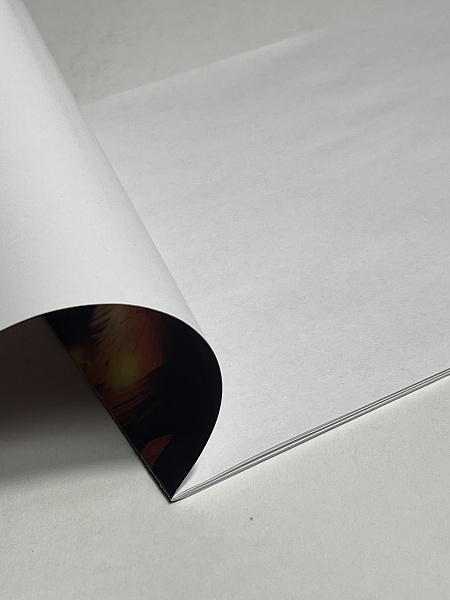 Альбом для рисования А4, 8 листов, на скрепке, обложка мелованная бумага 120г/м, блок офсет 100г/м