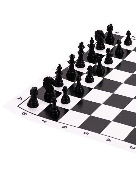 Шахматы, шашки "Рыжий кот" 28,5х28,5 см 2в1 6+ ПЛАСТИК в средней коробке с полями 