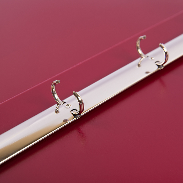 Папка 4 кольца 25 мм А4 "Expert Complete" PRISMA 700 мкм эффект 3D . d - 17 мм рубиновый new