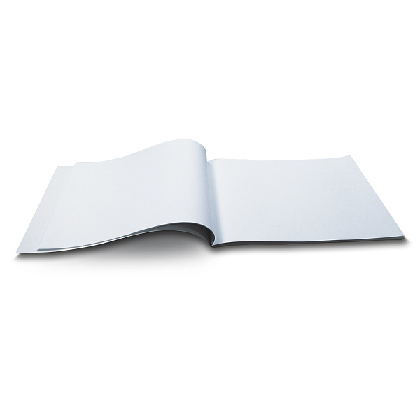 Альбом д/рис. 40 л. "Скорость в ночи" 100 г/м2 A4 29. 20.2 см на скобе. 01712 "Светоч"