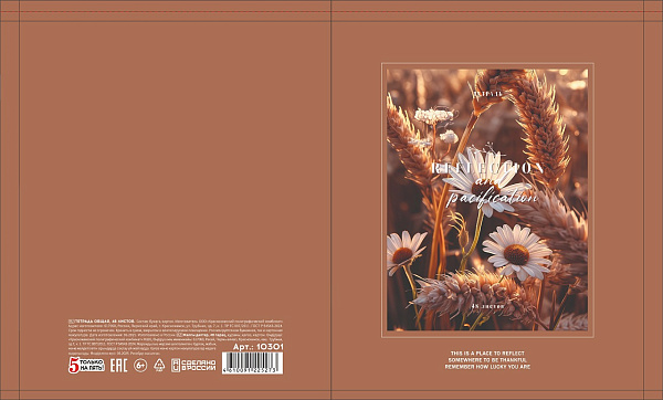 Тетрадь 48 листов, клетка, обложка мелованный картон, блок офсет, 5 видов микс