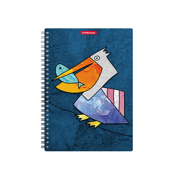 Тетрадь с пластиковой обложкой на спирали ErichKrause Birds, ассорти, А5, 80 л. кл. 