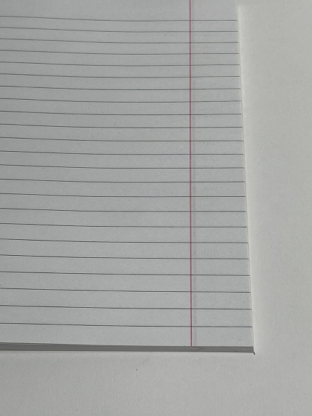 Тетрадь 48 листов, линейка, обложка мелованный картон, блок №2, красная