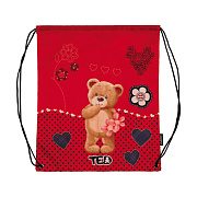 Мешок для обуви 35*40 "deVENTE. Мишка Ted" водоотталкивающая ткань, на веревочной завязк