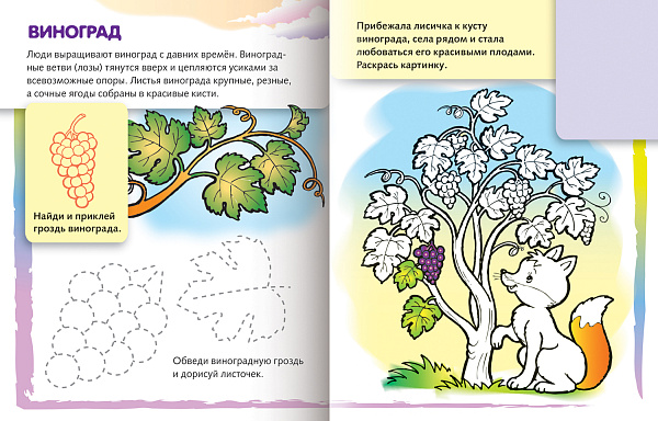 Раскраска книжка А5 8 л. с НАКЛЕЙКАМИ "Дорисуй и раскрась. Ягоды"