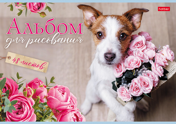 Альбом для рисования 48 листов "Наши пёсики"