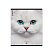 Тетрадь 96 листов в клетку "Cats", матовая ламинация  ErichKrause _MIX-PACK