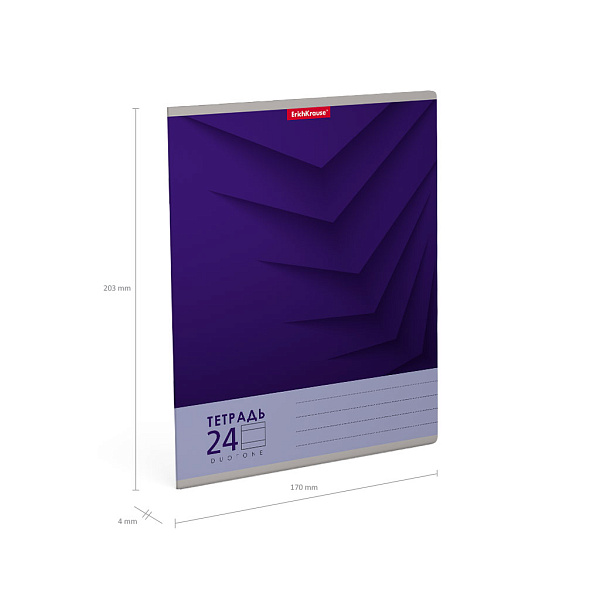 Тетрадь 24 листа в линию "Duotone Next" ассорти, _MIX-PACK ErichKrause®