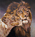 Алмазная мозаика 42*38 "ФРЕЯ" "Львиная нежность"