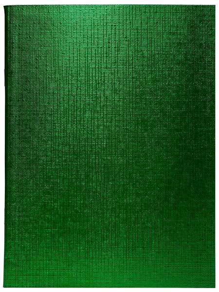 Тетрадь 48 л. кл. Бумвинил METALLIC Зеленая
