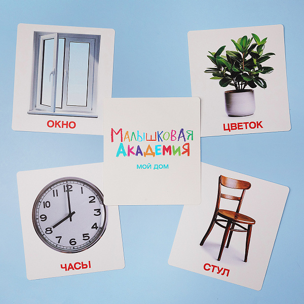 Наглядное Пособие  Развивающие карточки 60шт. "Малышковая Академия" -Мой дом- в карт. короб. с европодвесом