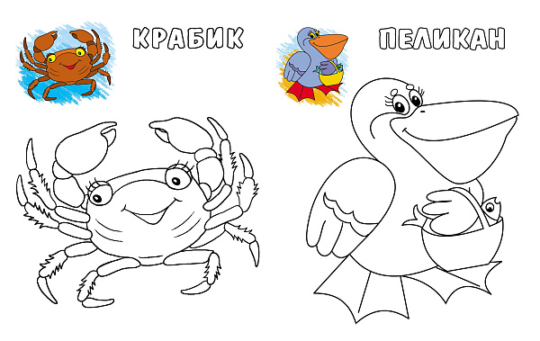 Раскраска по образцу А5+ "ЧЕРЕПАШКА"