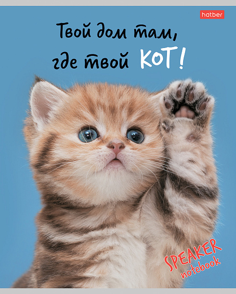 Тетрадь 40 л. кл. "Кот говорит" на скобе  65г/кв.м 