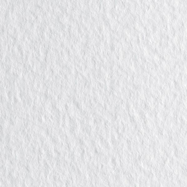 Бумага для пастели 500*650 "Tiziano" Белый,160г/м.кв ЦЕНА ЗА 1ЛИСТ (10л)