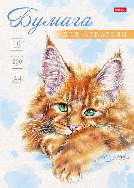 Бумага д/рис. А4 10 л."Рыжий котик" 200г/кв.м в папке тиснение