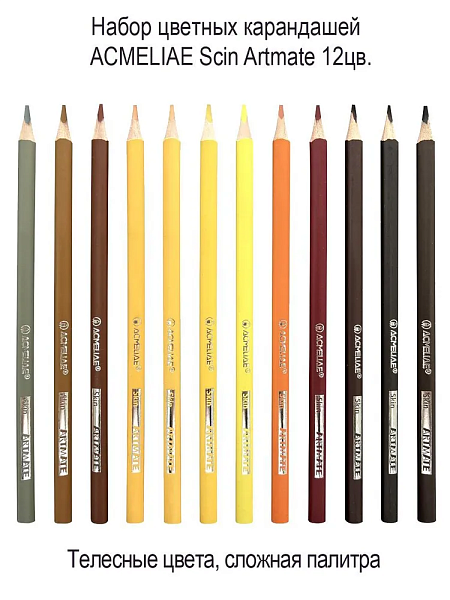 Карандаши 12 цв. ACMELIAE Skin Artmate телесные в картонном футляре,