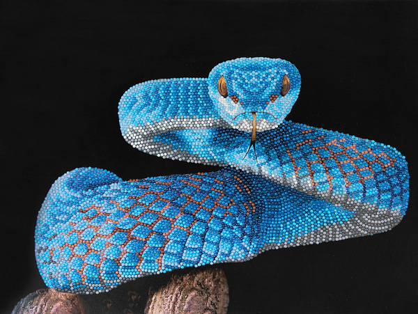 Алмазная мозаика 30*40 "ФРЕЯ" постер "Змея"