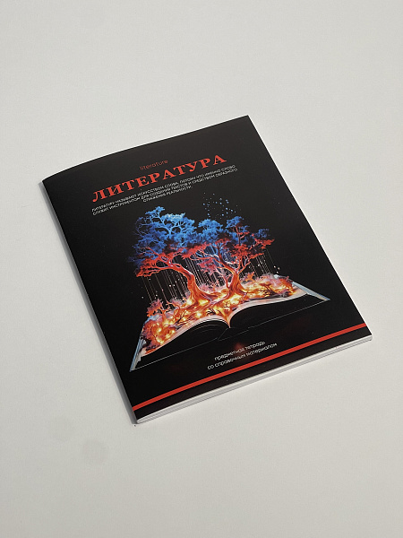 Тетрадь предметная 48 листов "Ассоциации"  Литература, со справочным материалом, обложка мелованный картон, блок офсет